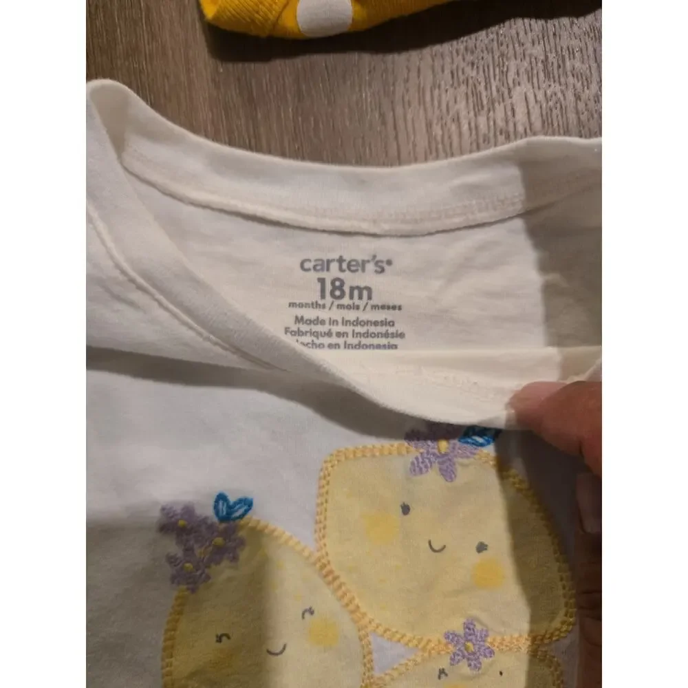 Baby Girl Clothes Lot 9 One Piece Body Suits Sizes 8 X 24 Months 1 X 18 Months